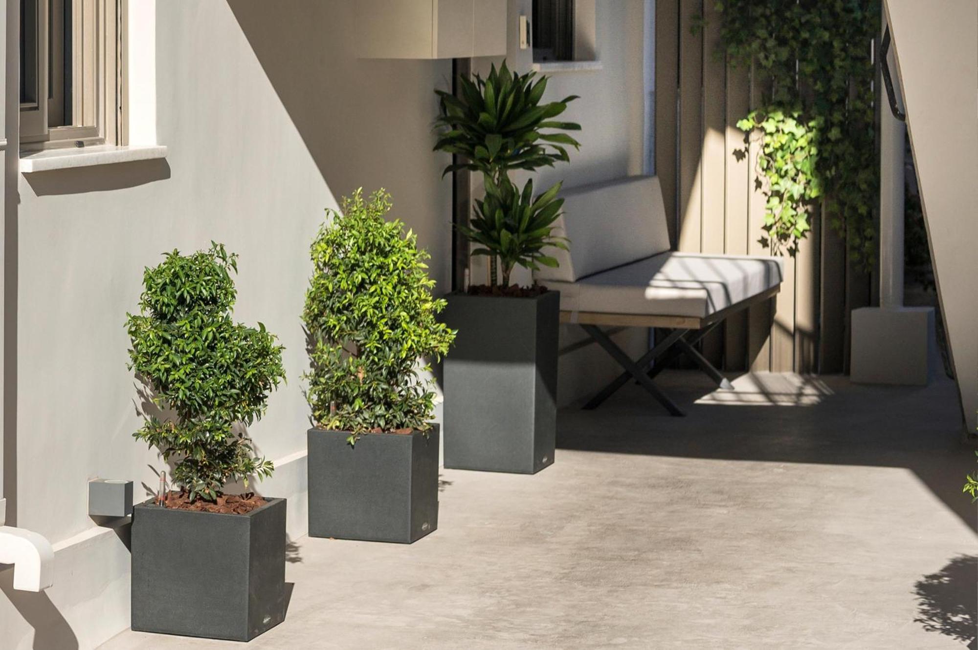 Π Suite Project: Smart Bnb Chania  Luaran gambar